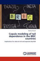 Copula modeling of tail dependence in the BRIC countries: Implications for value-at-risk and expected shortfall 384841046X Book Cover