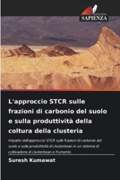 L'approccio STCR sulle frazioni di carbonio del suolo e sulla produttività della coltura della clusteria 6206211266 Book Cover