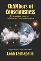 Chambers of Consciousness: Assemblage Points for Self-Governed Planetary Community 098279066X Book Cover