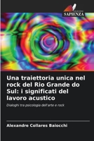 Una traiettoria unica nel rock del Rio Grande do Sul: i significati del lavoro acustico: Dialoghi tra psicologia dell'arte e rock (Italian Edition) 6208719275 Book Cover