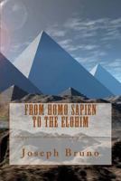 From Homo Sapien to the Elohim: A Trigger Into the Awakening of Higher Consciousness 153534847X Book Cover