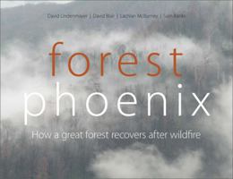 Forest Phoenix [OP]: How a Great Forest Recovers After Wildfire 0643100342 Book Cover