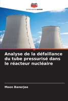 Analyse de la d�faillance du tube pressuris� dans le r�acteur nucl�aire 6205313251 Book Cover