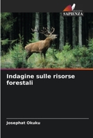 Indagine sulle risorse forestali (Italian Edition) 6209777562 Book Cover