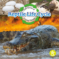 Reptile Life Cycle 163897456X Book Cover