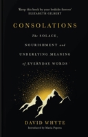 Consolations: The Solace, Nourishment and Underlying Meaning of Everyday Words