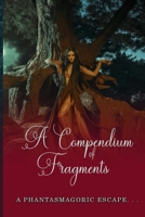 Compendium of Fragments: Pieces of Me... (Reconstructing Christina) 1718198973 Book Cover