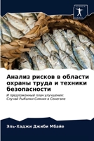 Анализ рисков в области о 6203338125 Book Cover