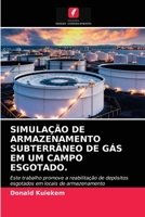 SIMULAÇÃO DE ARMAZENAMENTO SUBTERRÂNEO DE GÁS EM UM CAMPO ESGOTADO.: Este trabalho promove a reabilitação de depósitos esgotados em locais de armazenamento subterrâneo. 6203634212 Book Cover