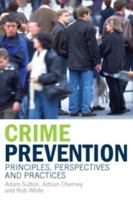 Crime Prevention: Principles, Perspectives and Practices 1108796966 Book Cover