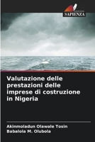 Valutazione delle prestazioni delle imprese di costruzione in Nigeria (Italian Edition) 6200826129 Book Cover