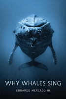 Why Whales Sing 1421452898 Book Cover