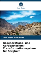 Regenerations- und Agrobacterium-Transformationssystem für Sorghum (German Edition) 6209353460 Book Cover
