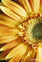 Journal: Vintage Rustic Positivity Sunflower Vase Blank Lined Travel Journal Writing Notebook - Sunshine Botanical Floral Garden Decorated Interior Design 1704985382 Book Cover