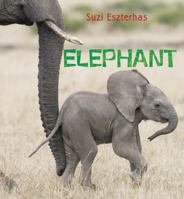 Elephant 1847805183 Book Cover
