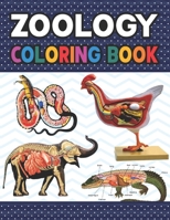 Zoology Coloring Book: Collection of Simple Illustrations of Zoology. Animal Anatomy and Veterinary Physiology Coloring Book. Dog Cat Horse F B08R1FG57V Book Cover
