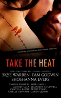 Take the Heat: A Criminal Romance Anthology 1501077694 Book Cover