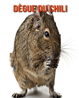 Dègue du Chili: Photos Etonnantes & Recueil d’Informations Amusantes Concernant les Dègue du Chili pour Enfants B095WFVWPM Book Cover