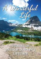 A Wonderful Life: Stories of David W. Downey's Lifetime 0999888455 Book Cover