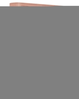 ESV Value Large Print Compact Bible (Trutone, Black) B0DWNFPTN8 Book Cover