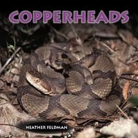 Copperheads 0823967212 Book Cover