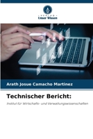 Technischer Bericht (German Edition) 620899246X Book Cover