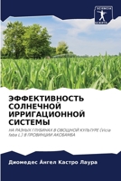 ЭФФЕКТИВНОСТЬ СОЛНЕЧНО&# 620555920X Book Cover