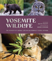 Yosemite Wildlife: The Wonder of Animal Life in California's Sierra Nevada 1951179269 Book Cover