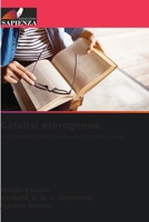 Catalisi eterogenea: Uno strumento per la produzione di prodotti chimici fini (Italian Edition) 6203909971 Book Cover
