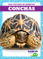 Conchas (Shells) (¡Veo Texturas de Animales!) B0BGNKGTT3 Book Cover