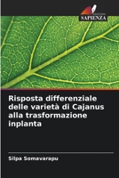 Risposta differenziale delle varietà di Cajanus alla trasformazione inplanta (Italian Edition) 6208035562 Book Cover