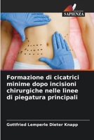 Formazione di cicatrici minime dopo incisioni chirurgiche nelle linee di piegatura principali (Italian Edition) 6207956664 Book Cover