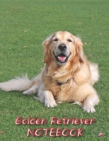 Golden Retriever NOTEBOOK: Dog Notebooks and Journals 110 pages (8.5x11) 1660526299 Book Cover
