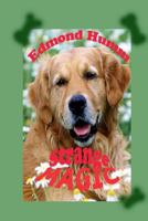 Strange Magic 1479185132 Book Cover