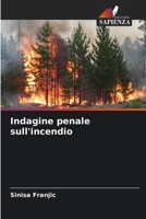 Indagine penale sull'incendio (Italian Edition) 6209678696 Book Cover