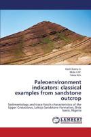 Paleoenvironment indicators: classical examples from sandstone outcrop: Sedimentology and trace fossils characteristics of the Upper Cretaceous, Lokoja Sandstone Formation, Bida basin, Nigeria 3659820377 Book Cover