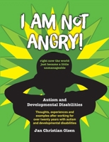 I am not angry!: Right now the world just became a little unmanageable 829387399X Book Cover
