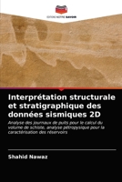 Interprétation structurale et stratigraphique des données sismiques 2D 6203158631 Book Cover