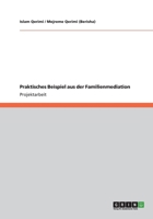 Praktisches Beispiel aus der Familienmediation 3656146241 Book Cover