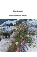 Illuminated 1646622731 Book Cover