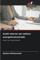 Audit interno nel settore energeticoContratti 6202373377 Book Cover