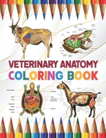 Veterinary Anatomy Coloring Book: A Collection of Fun and Easy Veterinary Anatomy Coloring Pages for Kids, Toddlers and Preschool. Handbook of ... Coloring book. Vet tech coloring books. B08R2CKC8K Book Cover