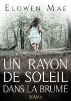 Un rayon de soleil dans la brume (French Edition) B0CPCMG496 Book Cover
