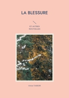 BLESSURE: ET AUTRES NOUVELLES 2322613959 Book Cover