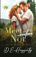 Meet Not: a friends to lovers small town romantic comedy B0CCYV6K48 Book Cover