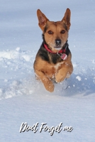 Don't Forget Me: Cute Dog Running On The Snow.Internet Password Logbook with alphabetical tabs.Personal Address of websites, usernames, passwords notebook/Journal/Organizer/Keeper.Large printed format 1709822279 Book Cover