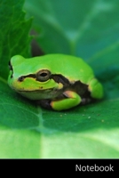 Notebook: カエル、 アマガエル、 カボチャの葉、 両生類、 無尾類、 動物、 緑、 自& 1705663265 Book Cover