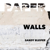 Paper: Walls: Vulnerability and Resilience of Urban Surfaces 1733071954 Book Cover