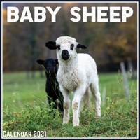 Baby Sheep Calendar 2021: Official Baby Sheep Calendar 2021, 12 Months B08VRDT6V3 Book Cover