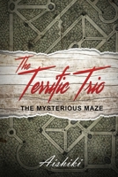 The Terrific Trio: The Mysterious Maze B0977HD67Z Book Cover